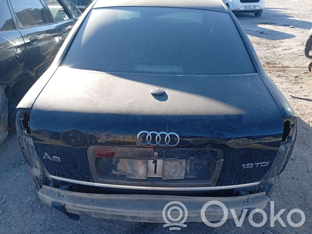 Audi A6 Allroad C5 Galinis dangtis (bagažinės) 