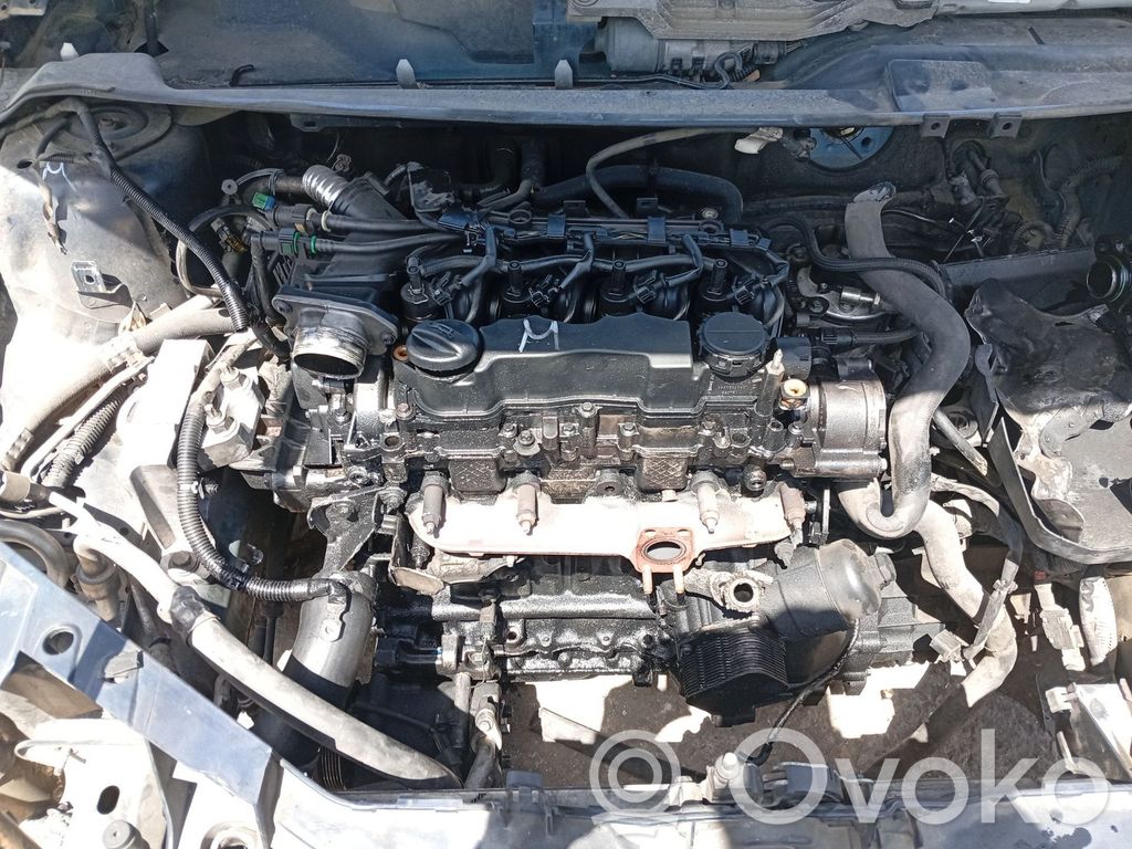 Engine head   1767479
