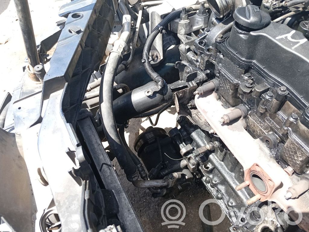 Ford Focus Jäähdytysnesteletku 