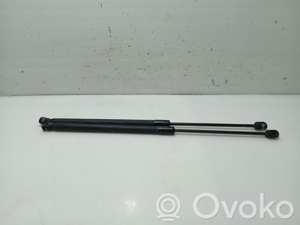 Audi A3 S3 8P Ammortizzatore portellone posteriore/bagagliaio 
