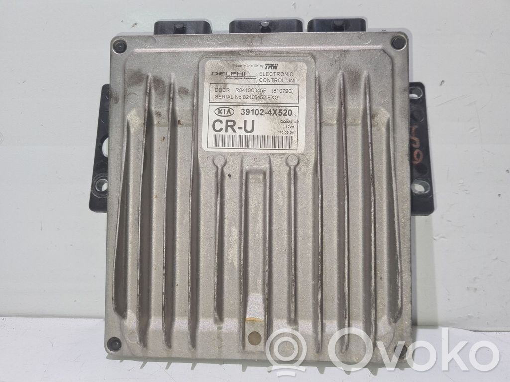 KIA Carnival Engine control unit/module 