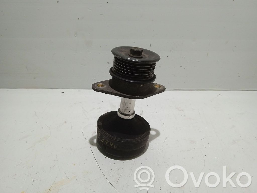 Ford Focus Generator/alternator belt tensioner 