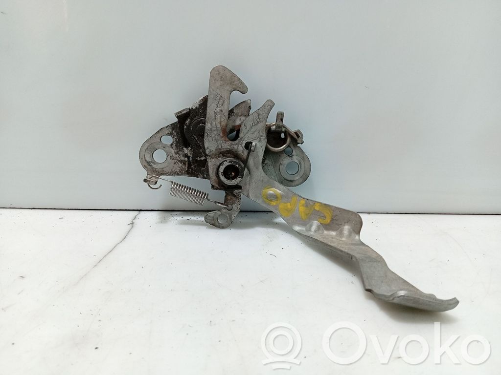 Tie down hook / loop   793452