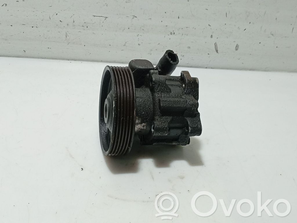 Peugeot 406 Pompa servosterzo 
