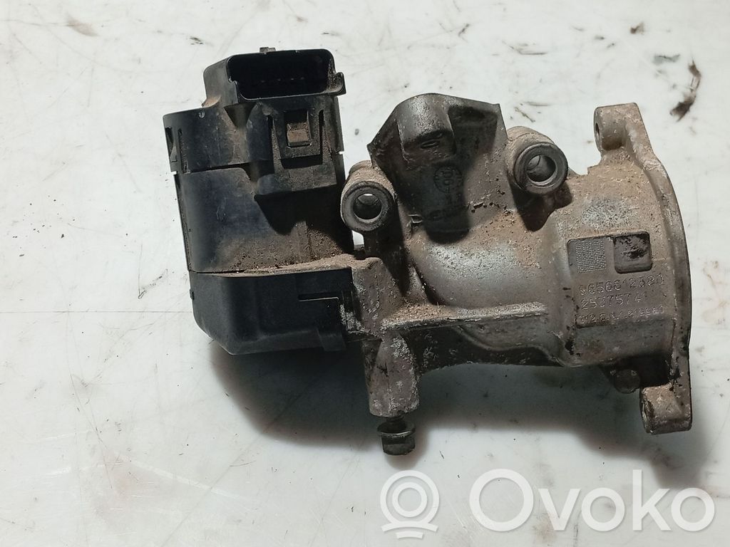 Peugeot 407 EGR vožtuvas 