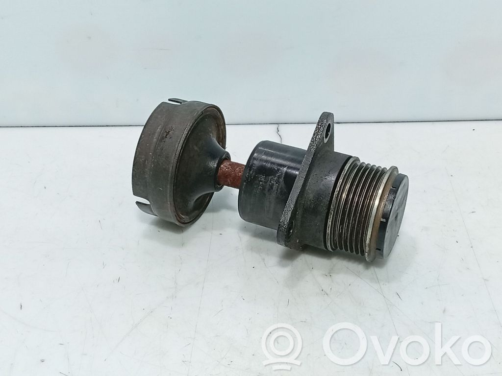 Ford Focus Generator/alternator belt tensioner 