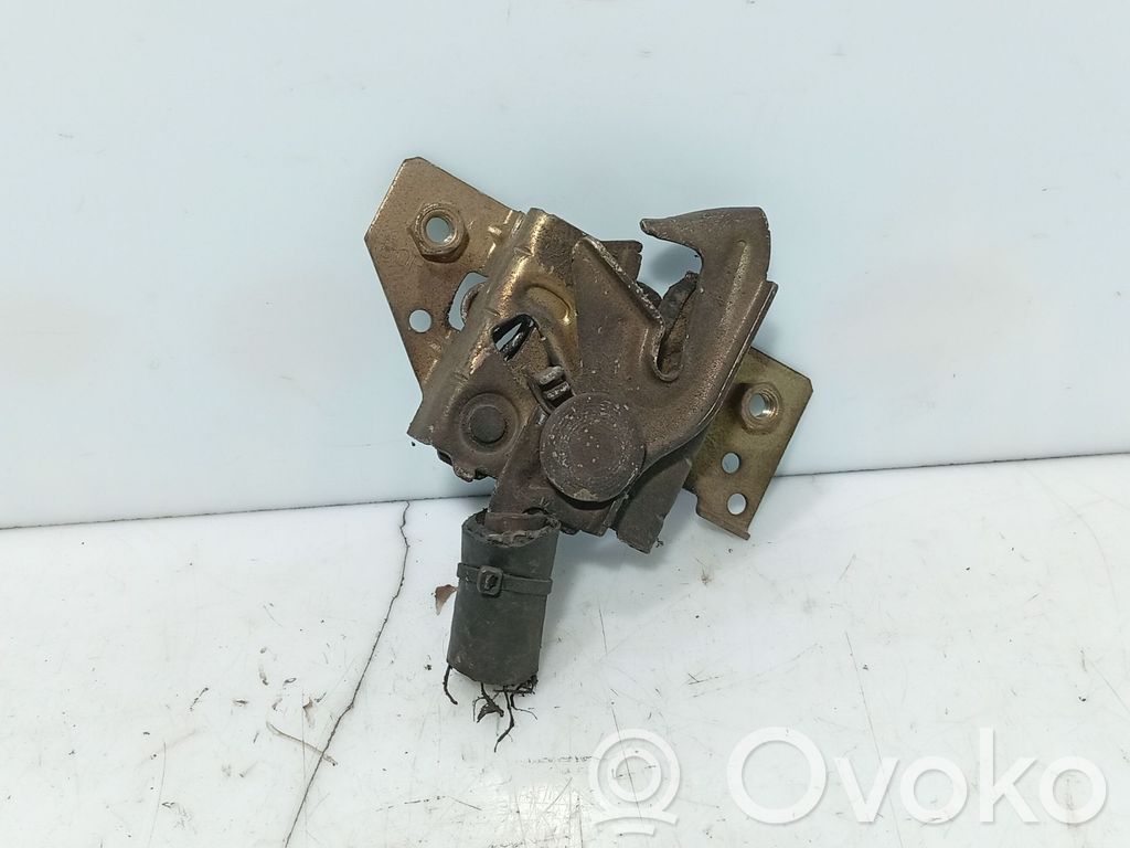 Tie down hook / loop   1474279