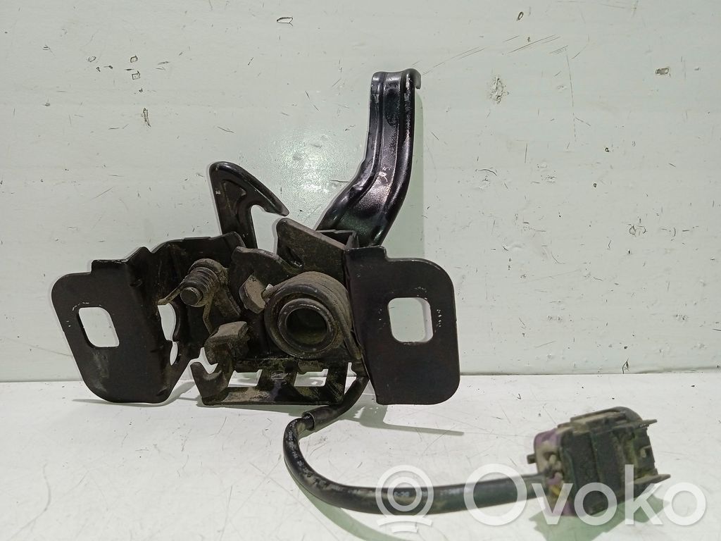 Tie down hook / loop   13367151