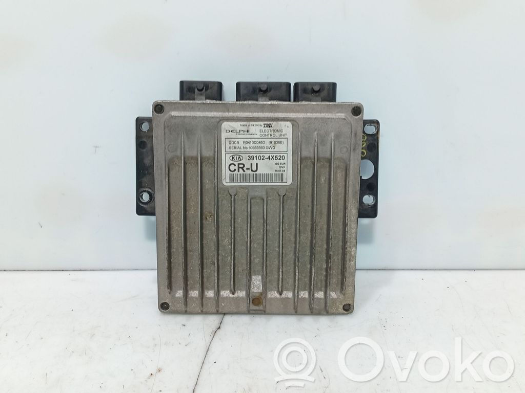 KIA Carnival Engine control unit/module 