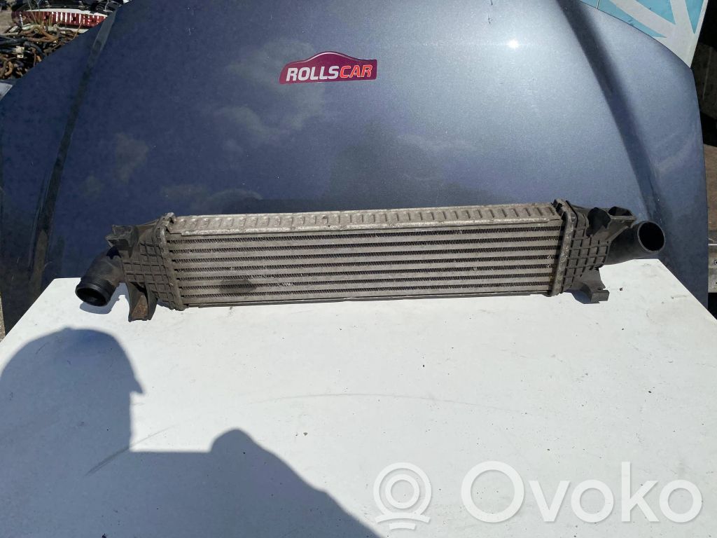 Ford Focus C-MAX Oro nukreipėjas/ kanalas interkūlerio radiatoriaus 