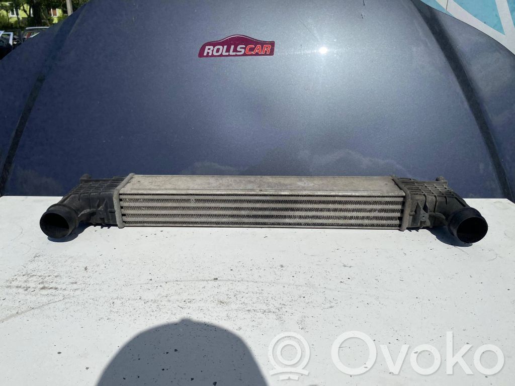 Seat Alhambra (Mk1) Радиатор воздушного канала / канала 