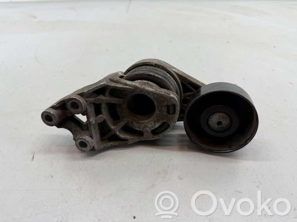 Seat Ibiza III (6L) Tendicinghia generatore/alternatore 