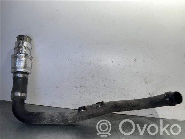 Turbo   2828307600