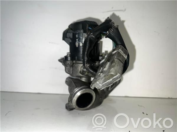 Válvula EGR   9654818180