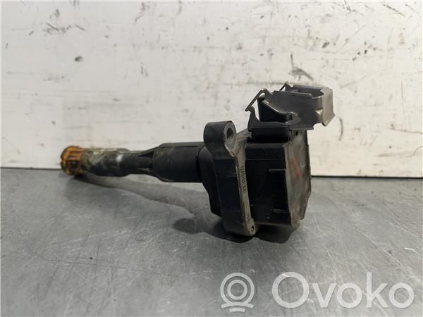 High voltage ignition coil   221504004