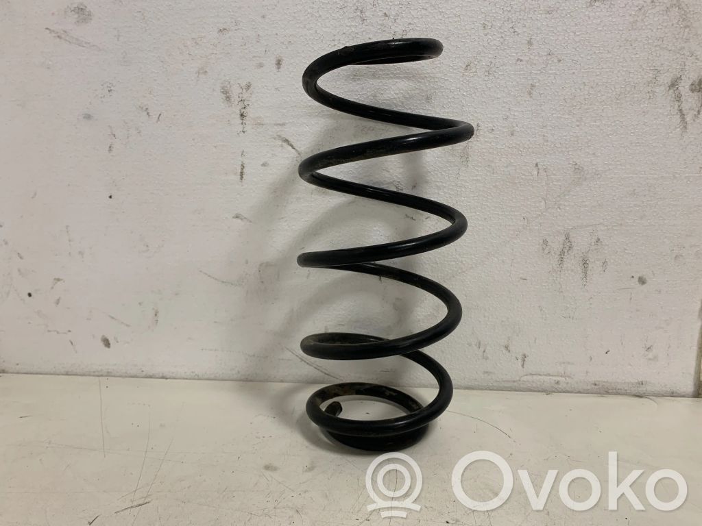 Front coil spring
