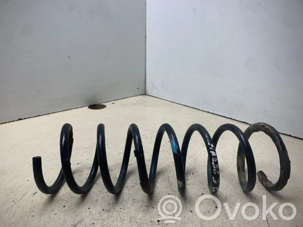 Rear coil spring