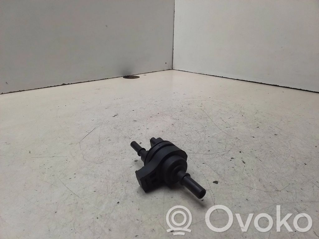 Citroen C3 Vakuumo vožtuvas 