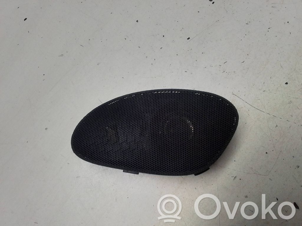 Peugeot 607 Front door speaker 
