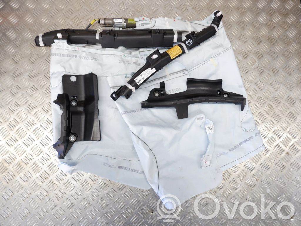 Lexus NX Airbag del techo 