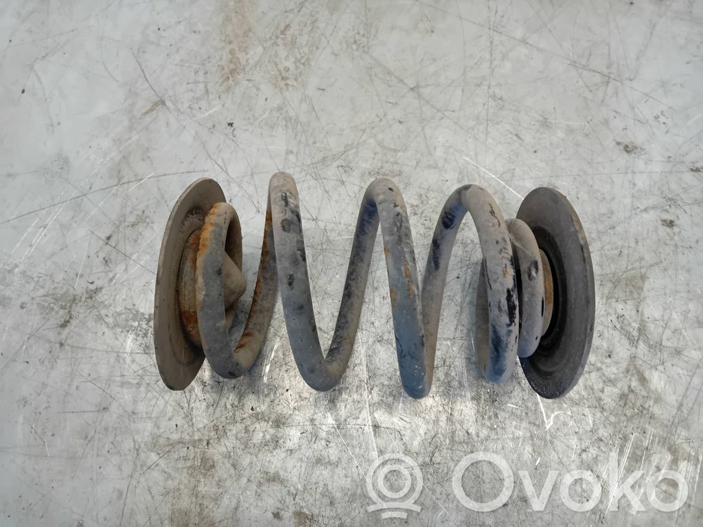 Rear coil spring