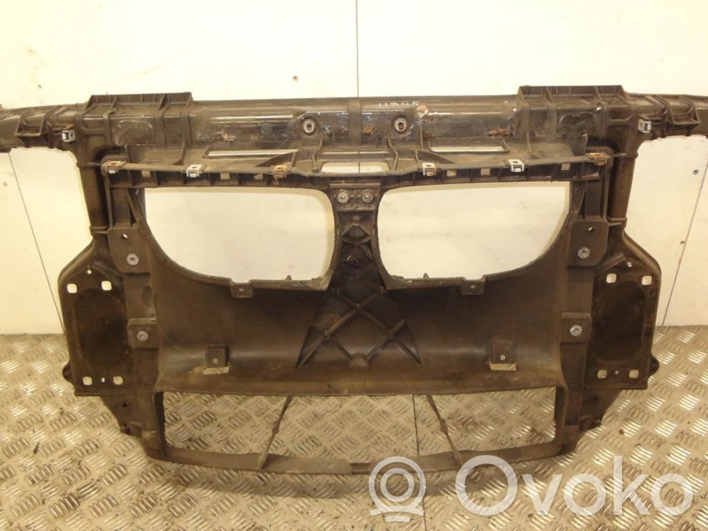 BMW 1 E81 E87 Radiatoru panelis 