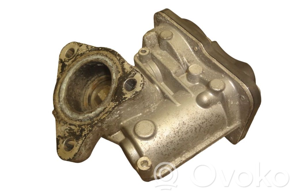 Nissan Juke I F15 EGR vožtuvas 