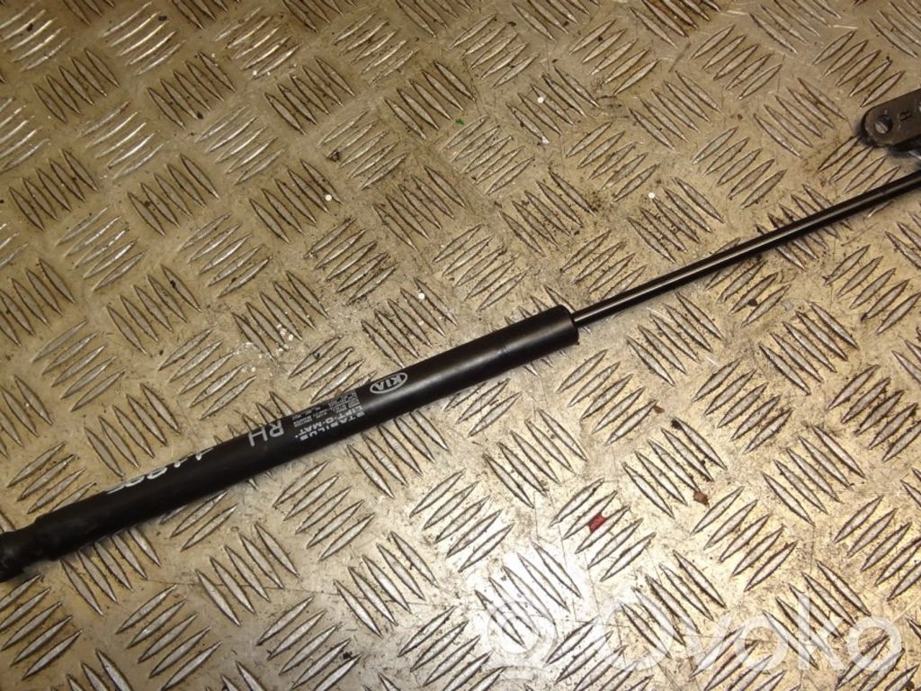 KIA Sorento Tailgate strut 