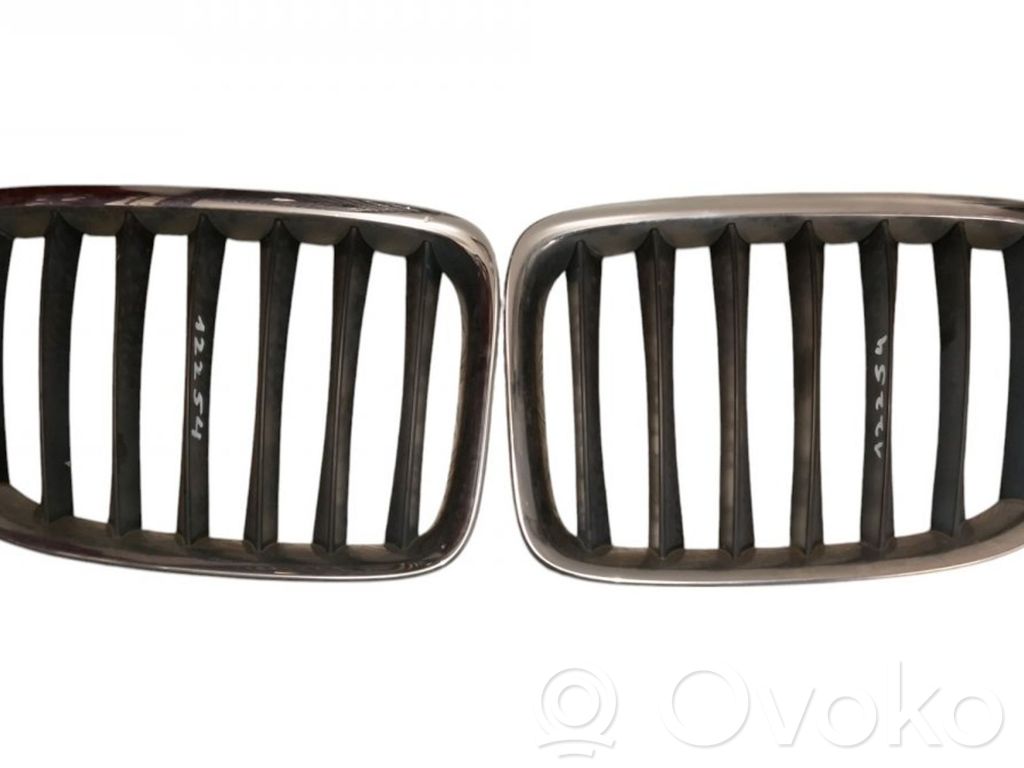 BMW X1 E84 Front grill 