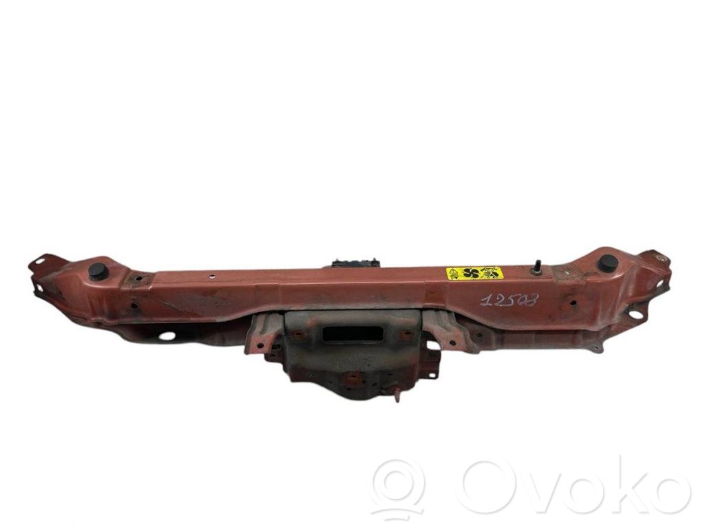 Radiatoru panelis   F25119U0M0
