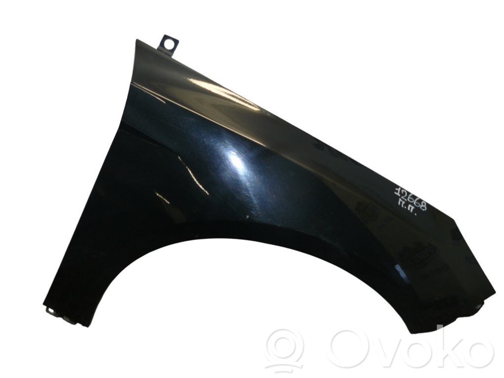 Ford Focus ST Fender 
