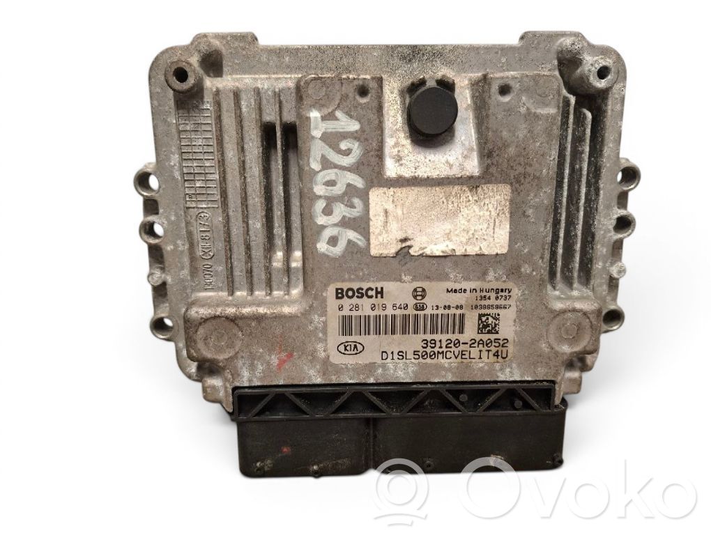 Engine control unit/module   0281019640,391202A052,391202A052