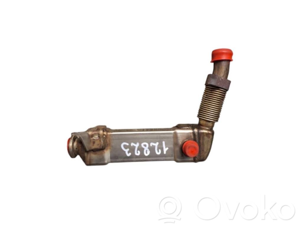 EGR aušintuvas   L6150003,779006506