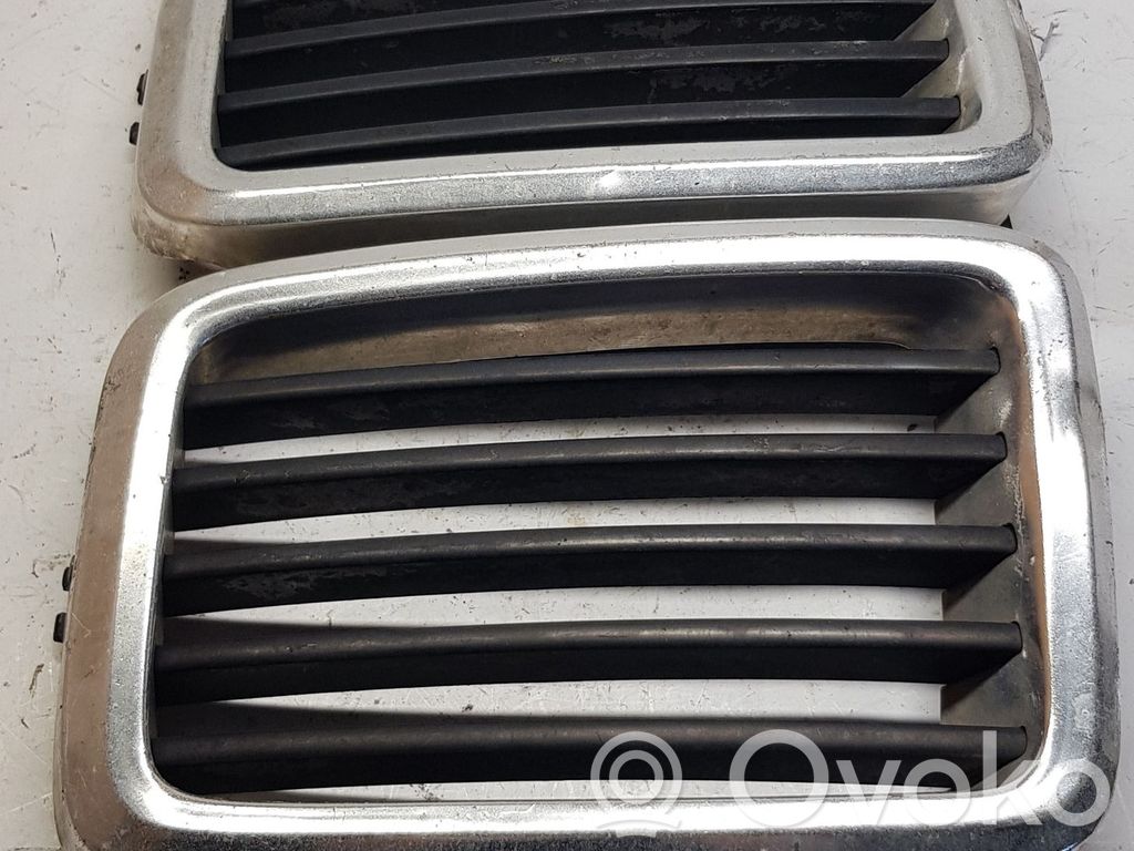 Front grill   51131873253