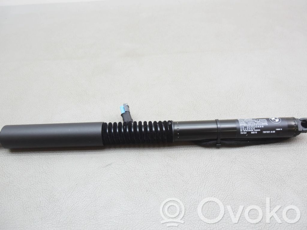 BMW X3 G01 Tailgate/trunk strut/damper 