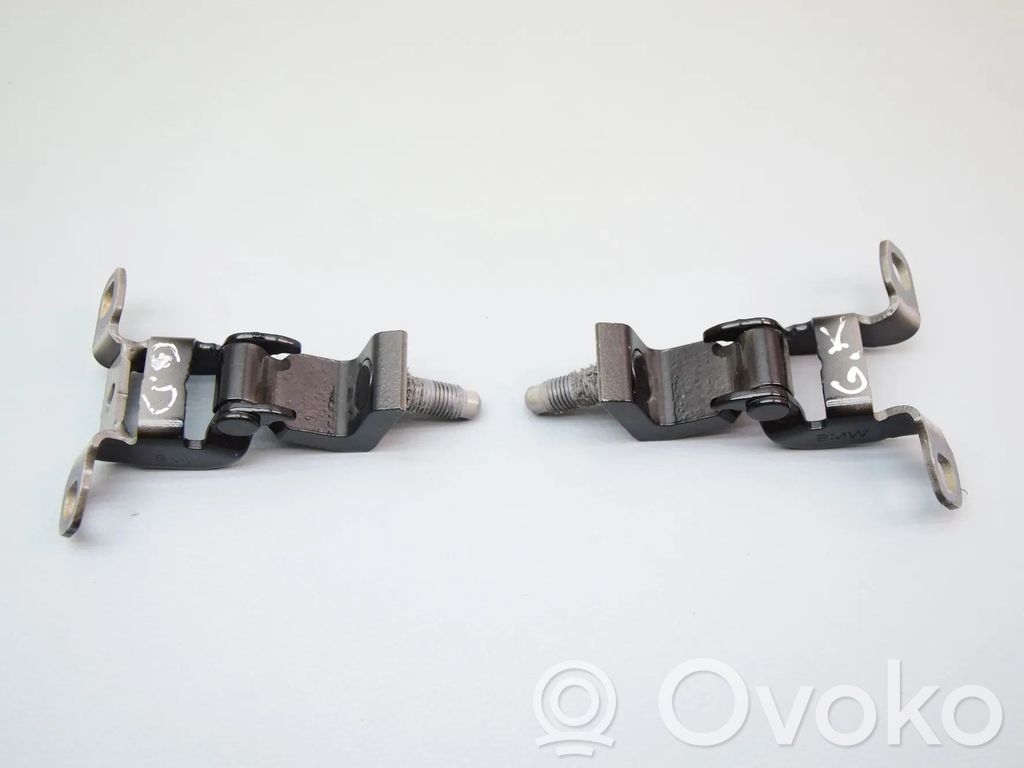 BMW X1 U11 Tailgate/trunk/boot hinge 