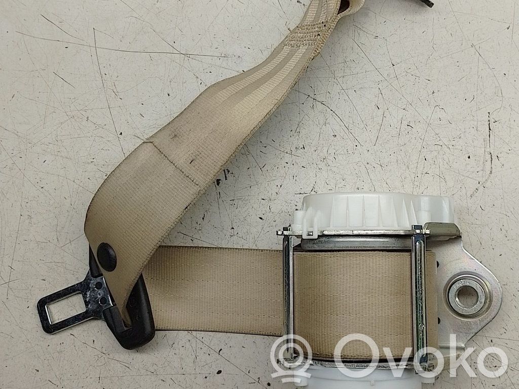 Cinturón trasero   33059772E