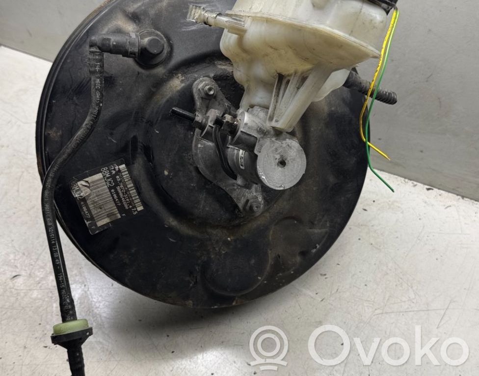 Peugeot Expert Stabdžių vakuumo pūslė 