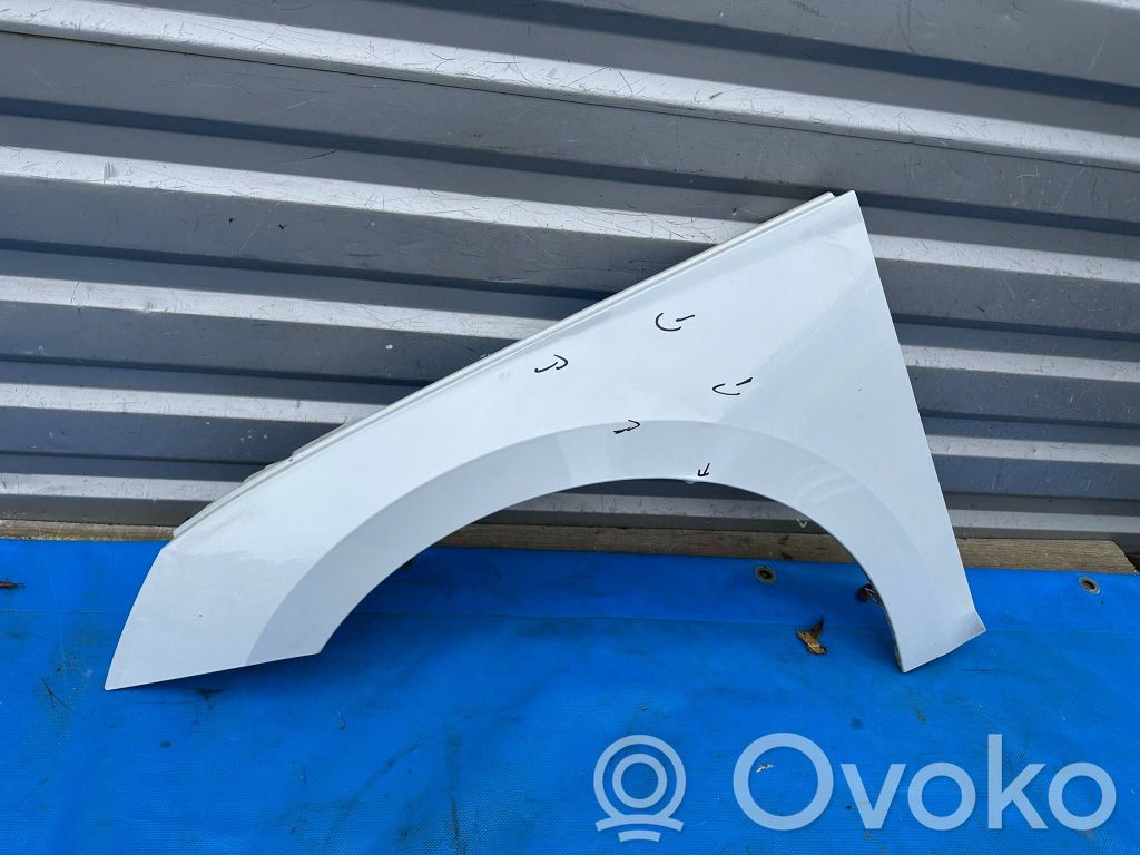 Skoda Octavia Mk4 Fender 