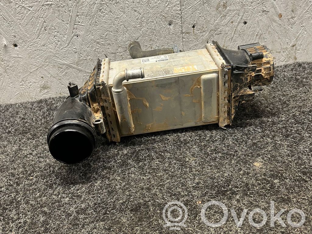 Volkswagen Tiguan Interkūlerio radiatorius 