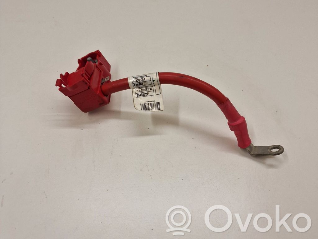 BMW 5 G30 G31 G38 Pluskaapeli (akku) 