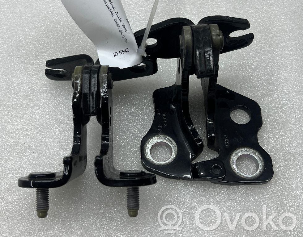 Tesla Model 3 Rear door hinge set 