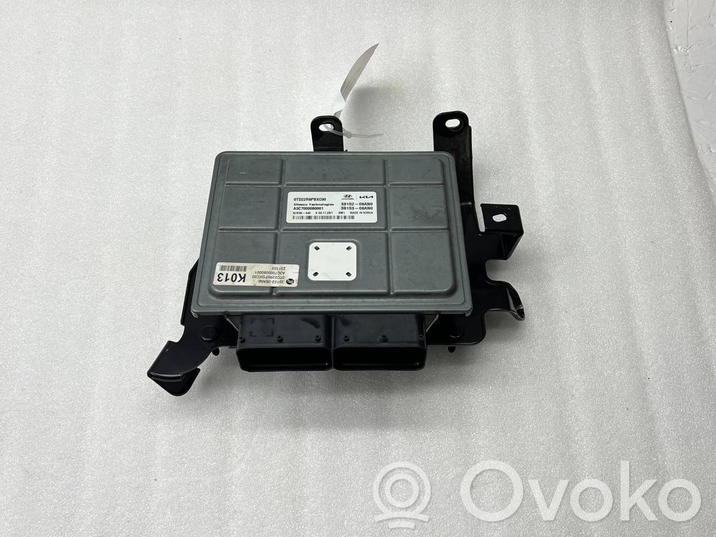 Engine control unit/module   391S208AN0,391S308AN0
