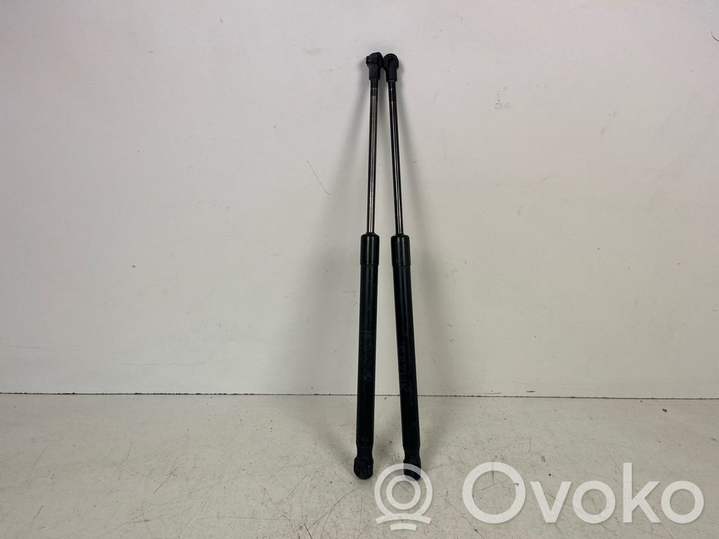 Tailgate/trunk strut/damper   51247060622,5754UY0400N