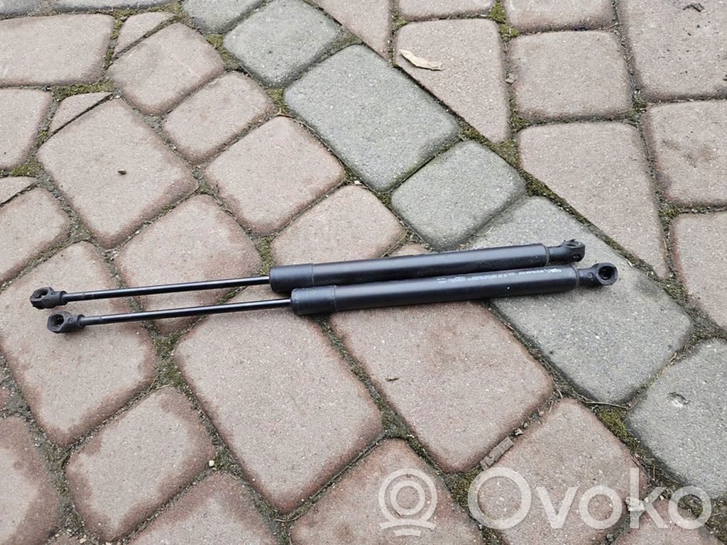 Renault Zoe Tailgate/trunk strut/damper 