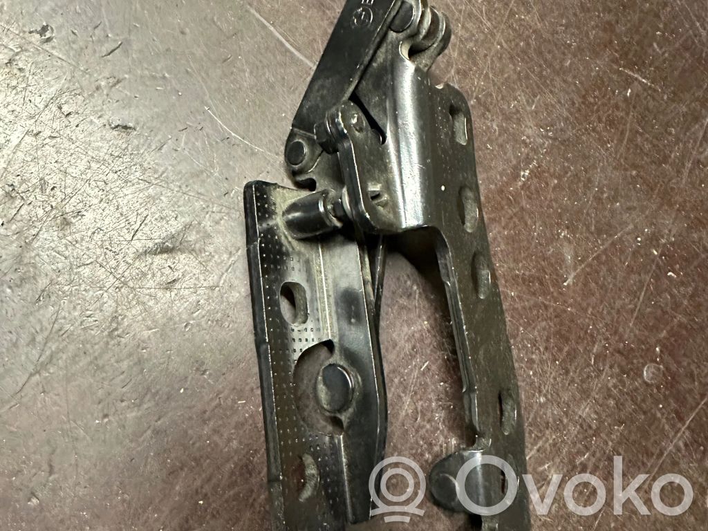 Hood Support Bracket (s)   LUSR