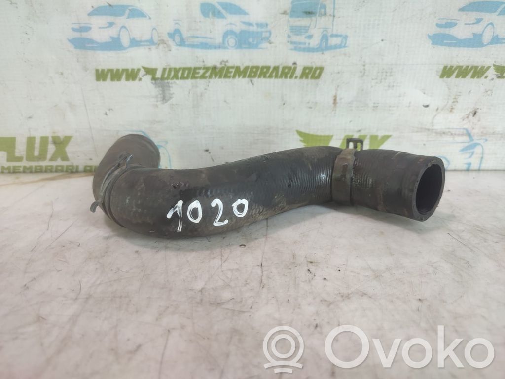 Volkswagen Amarok Tubo flessibile del liquido di raffreddamento del motore 