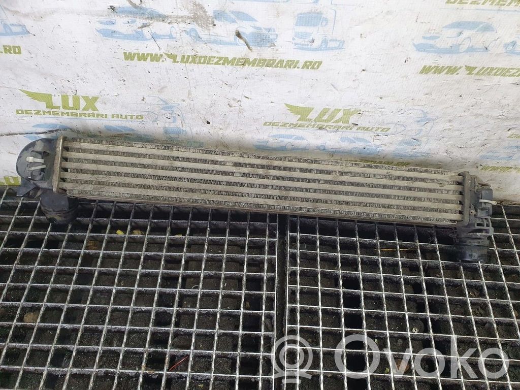 Radiador intercooler   144966078R