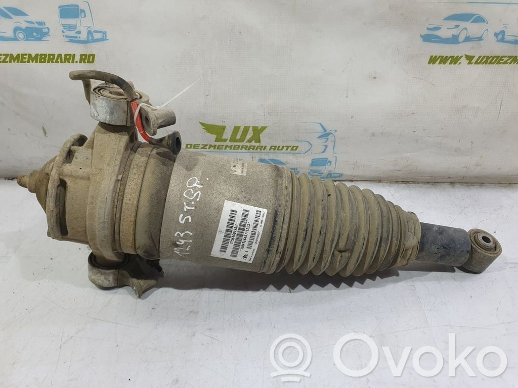 Porsche Cayenne (92A) Ammortizzatore posteriore 