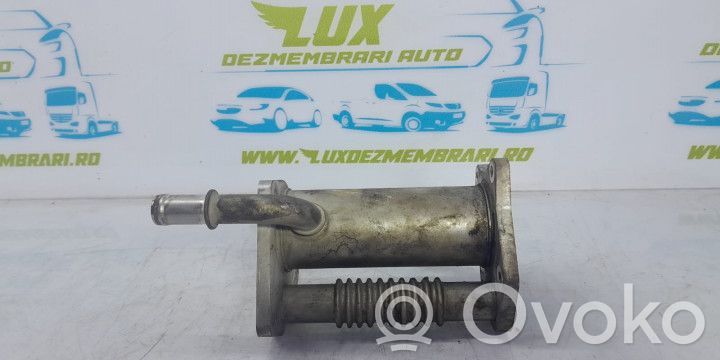 Dacia Dokker Refrigerador de la válvula EGR 